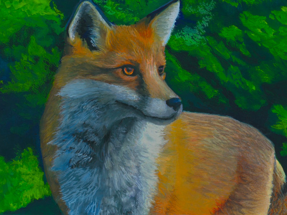 "The Fox" LIMITED EDITION PRINT of 10