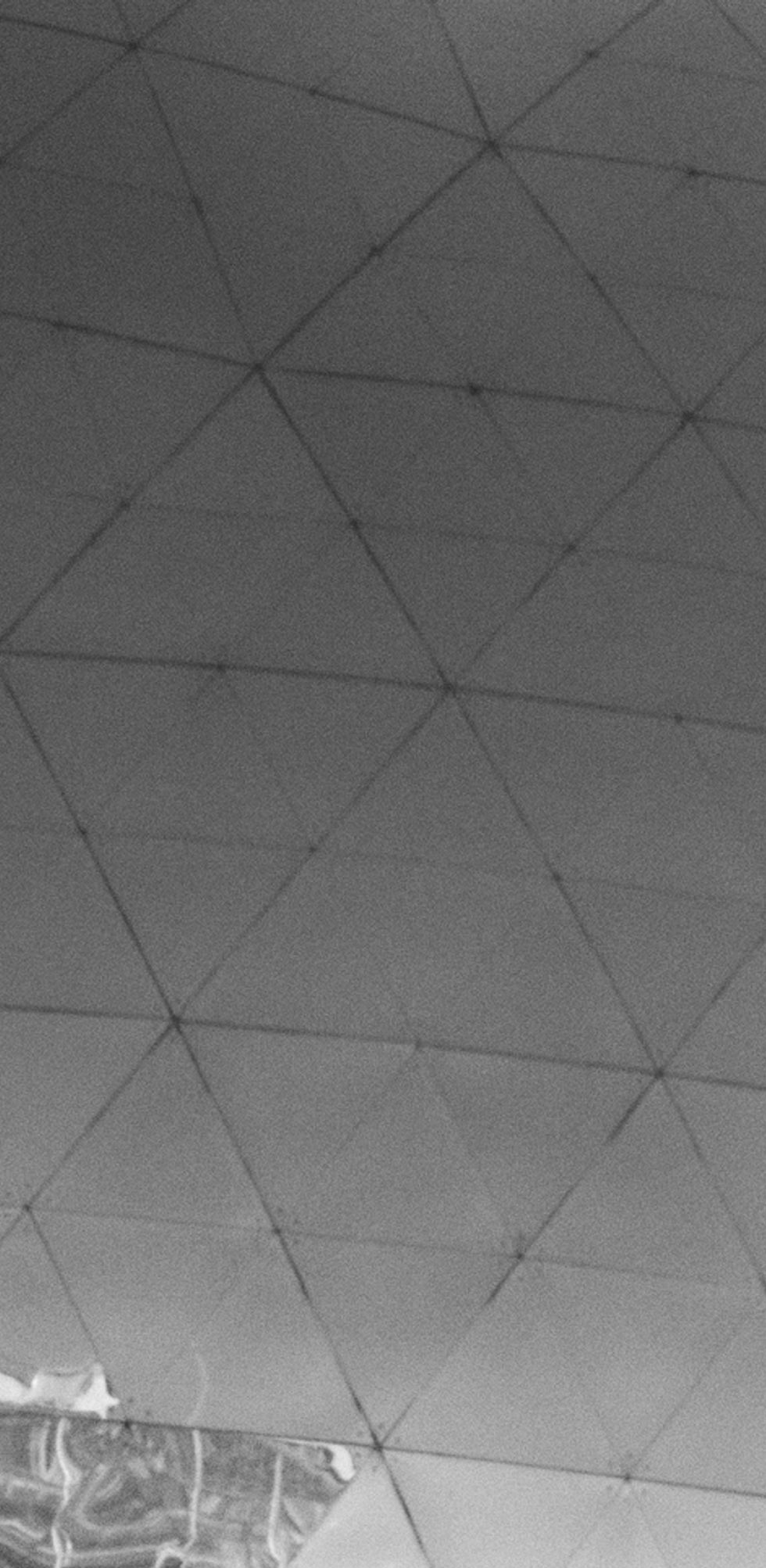 DSCF7659 copie nb.jpg
