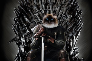 95 King of the north.jpg
