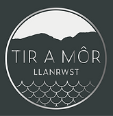 Tir_a_Mor_Logo_Silver.png