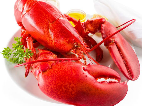 Lobster at 11 cents per pound?
