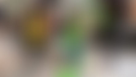 ライトスパー前に打ち返し