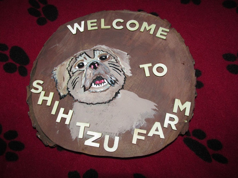 Aaaa 8-13-18 039.JPG