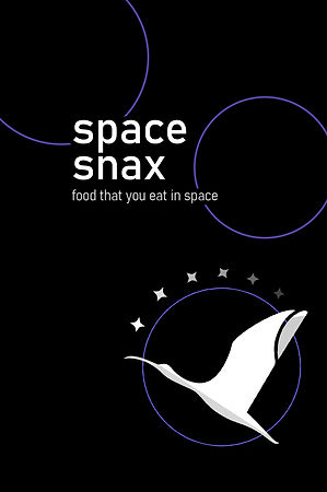 space snax design.jpg