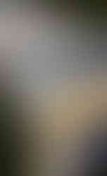 Bac de culture surélevé avec toit protecteur pour cactus en pots, installé dans un jardin pour protéger les plantes de la pluie.