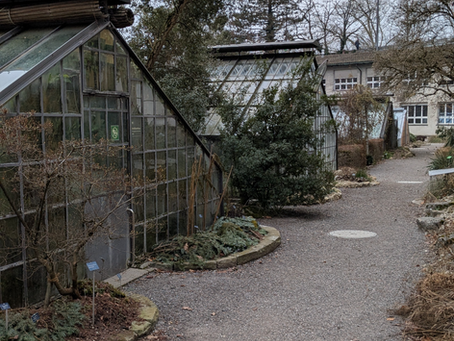 Jardin Botanique Bern