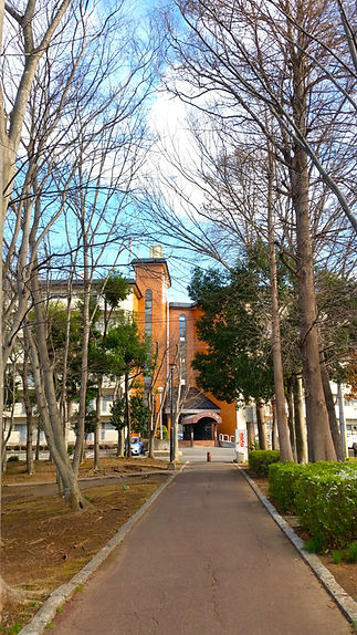 写真②・のぞみ行政書士.jpg