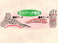 足のアーチ構造