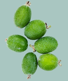 Untitled design (11)_edited_edited.jpg