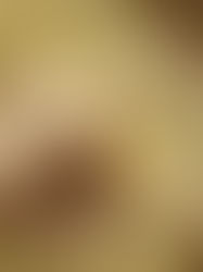 Recipe: Homemade Bone Broth