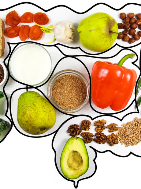 Gut Health and Overall Wellness