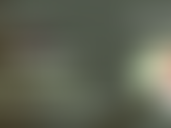 One Month In: Why I Joined Green Cabbage