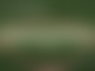 Countdown to Microsoft's Year-End: Get Ahead of the Game!