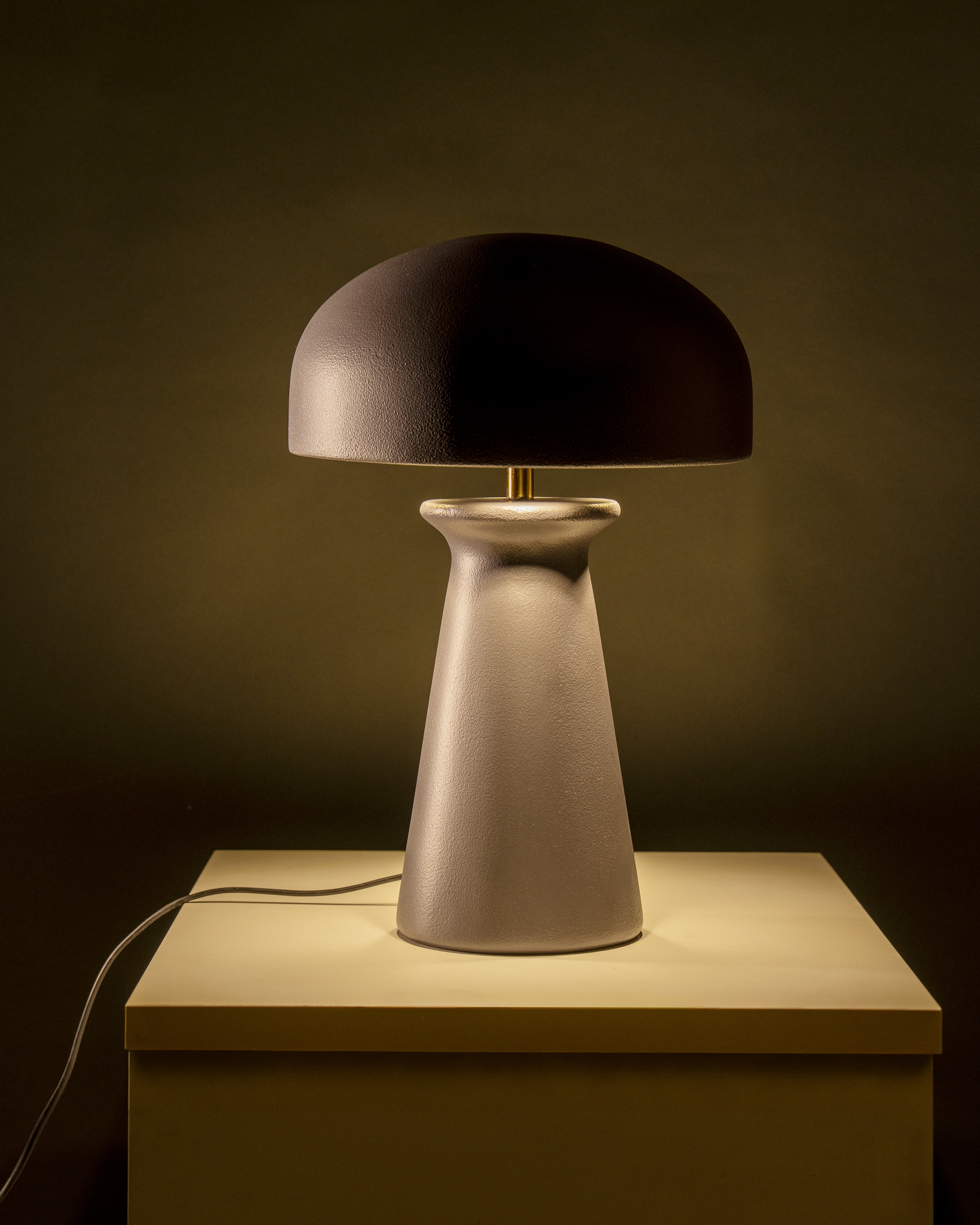 Dome Table Lamp in Mixed Media by Name Place Animal Thing Lighting & Furniture illuminate