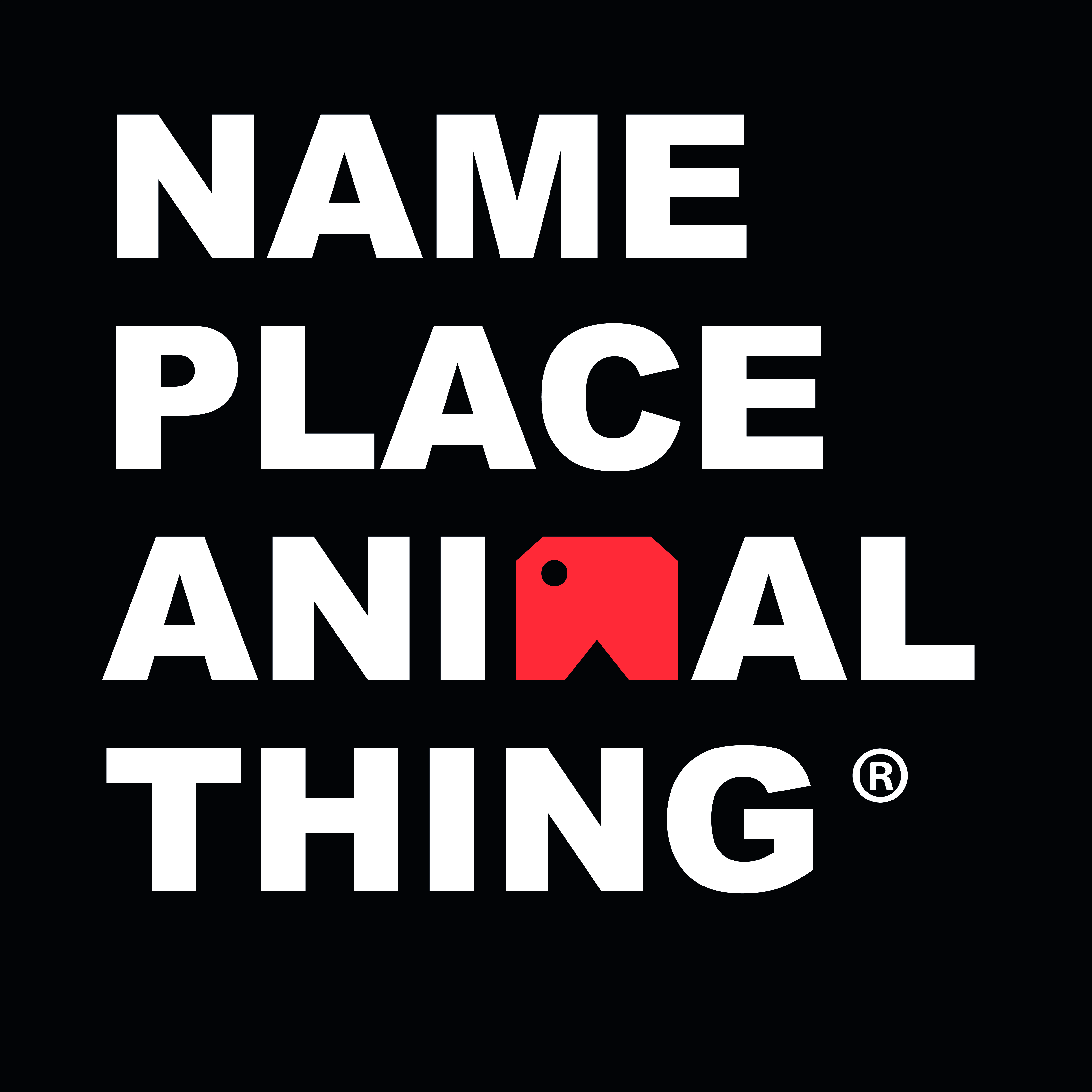 Name Place Animal Thing logo - contemporary lights and furniture design studio