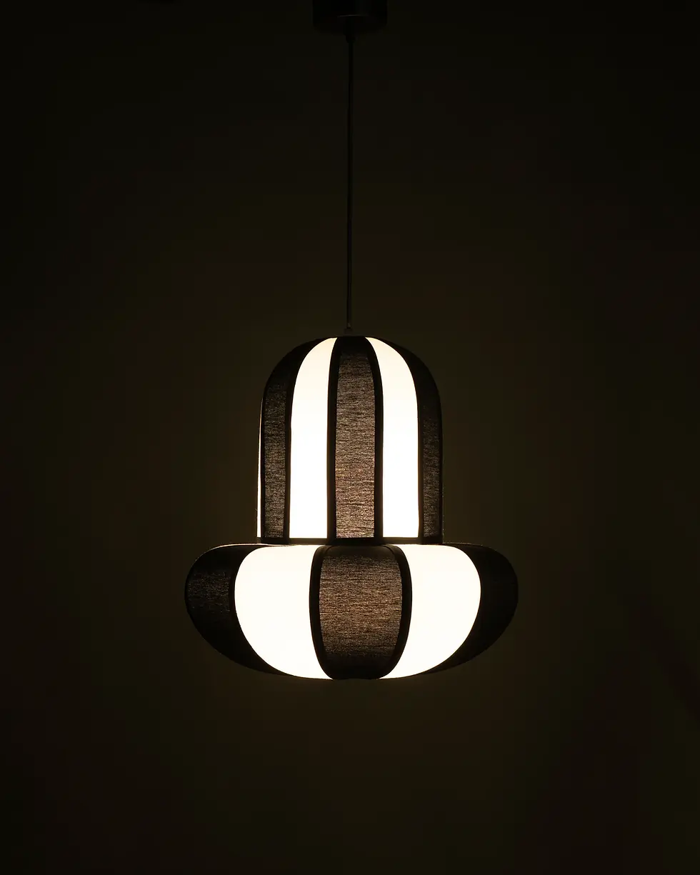 Front view of the illuminated ZIBO statement pendant light by Name Place Animal Thing, perfect for bedrooms.
