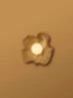 Indoor Wall Lights, Indoor Wall Lamps, Wall Light Fixtures, Decorative Wall Lights, Modern Wall Lighting