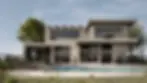 Vivid Collection 7.webp