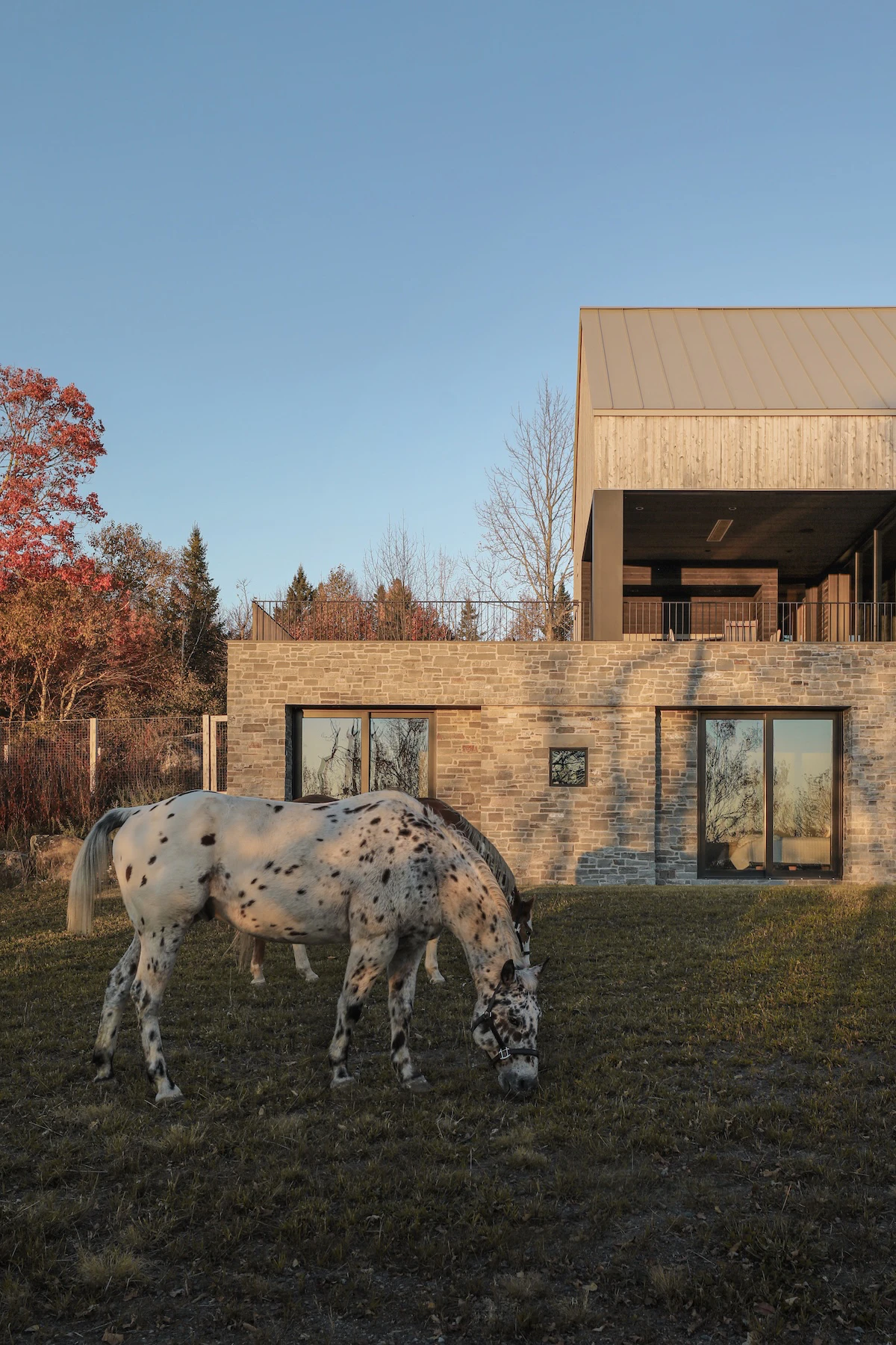 A horse grazes in the backyard of the Rivers Edge home, with the stone lower level and patio in the background under soft sunlight