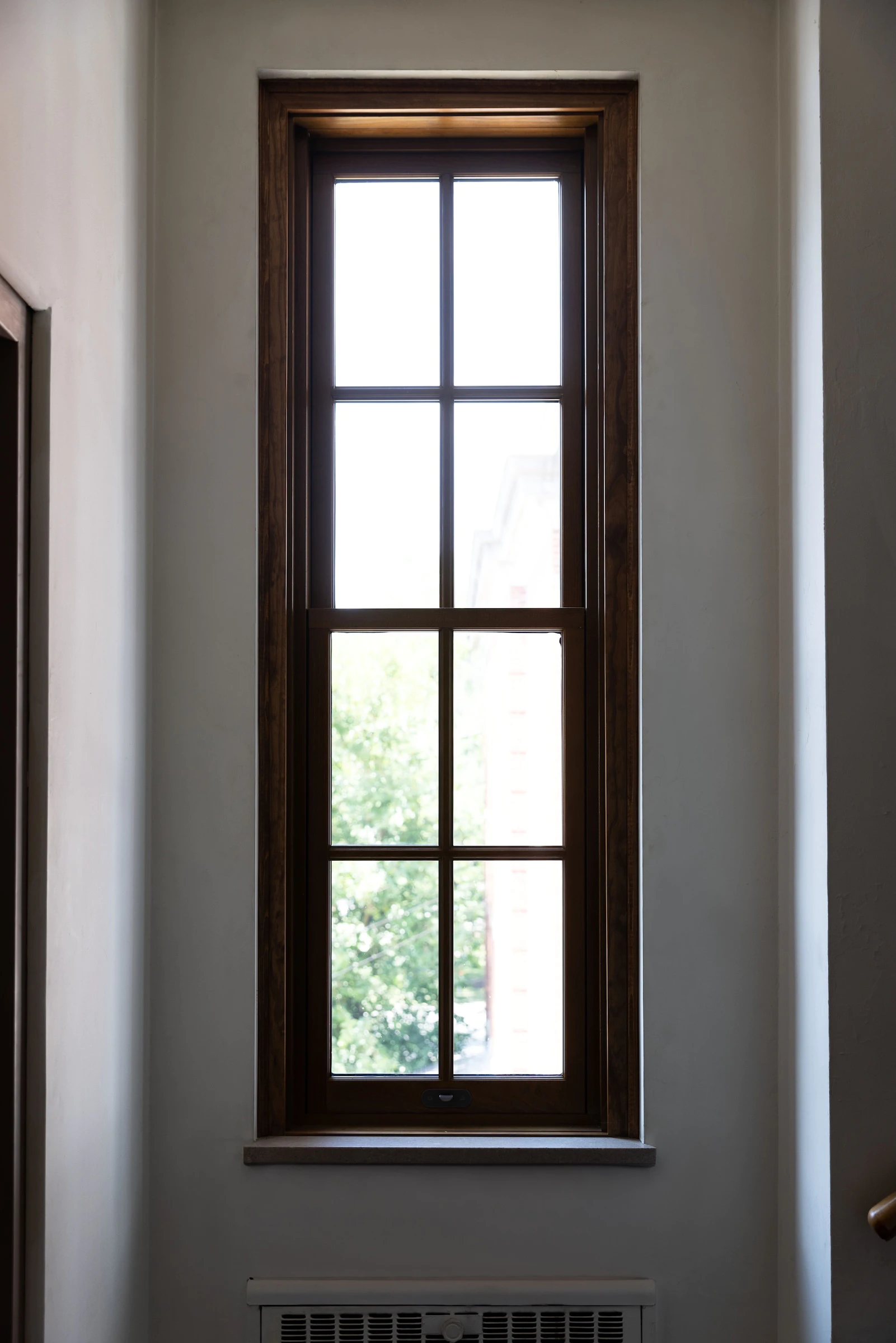 Tall thin Marvin Ultimate stained wood window with simulated divided lites