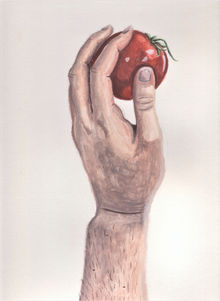 In Hand Tomato