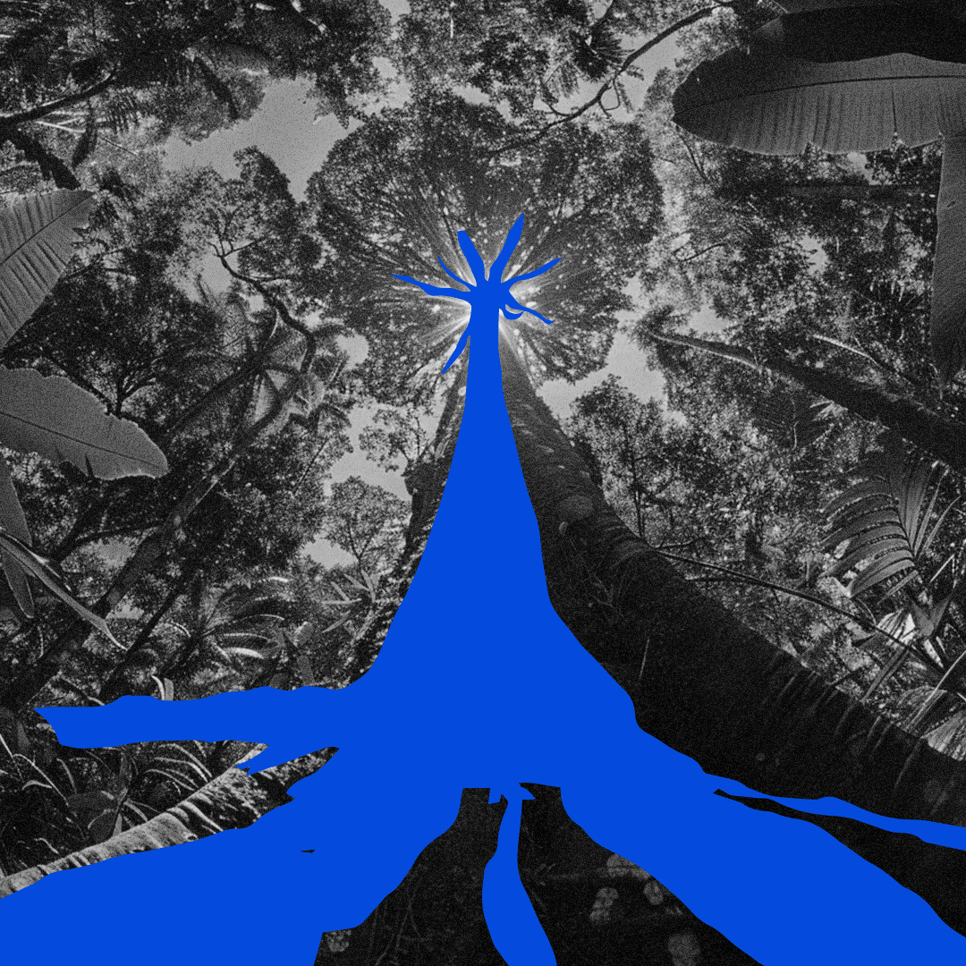 GIF-SOUL-DA-MATA.gif