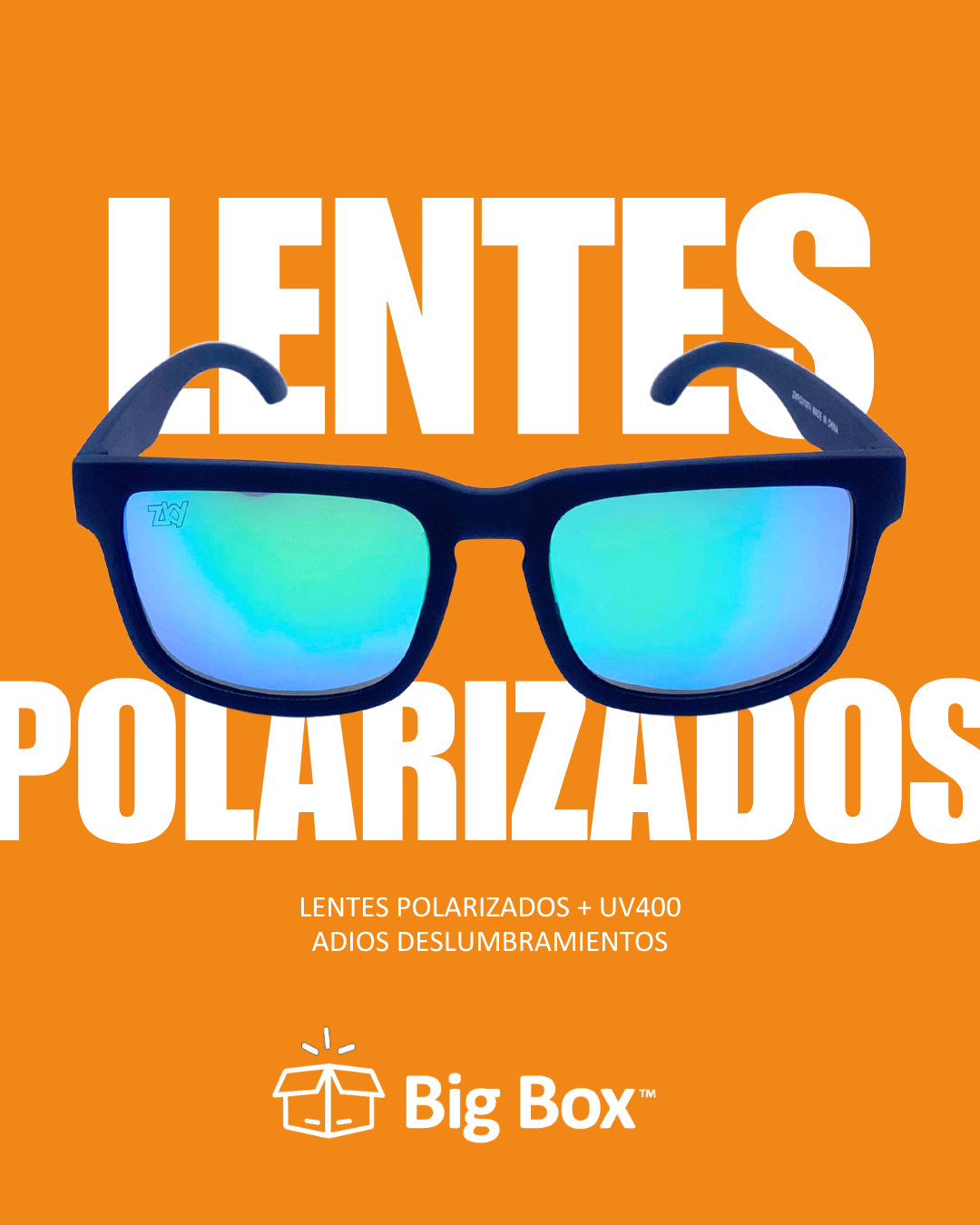 Gafas Wayfarer Polarizadas UV400 | Big Box NI