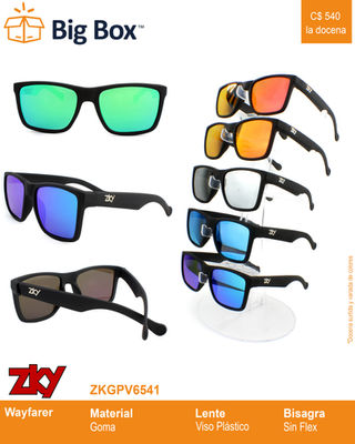 ZKGPV6541