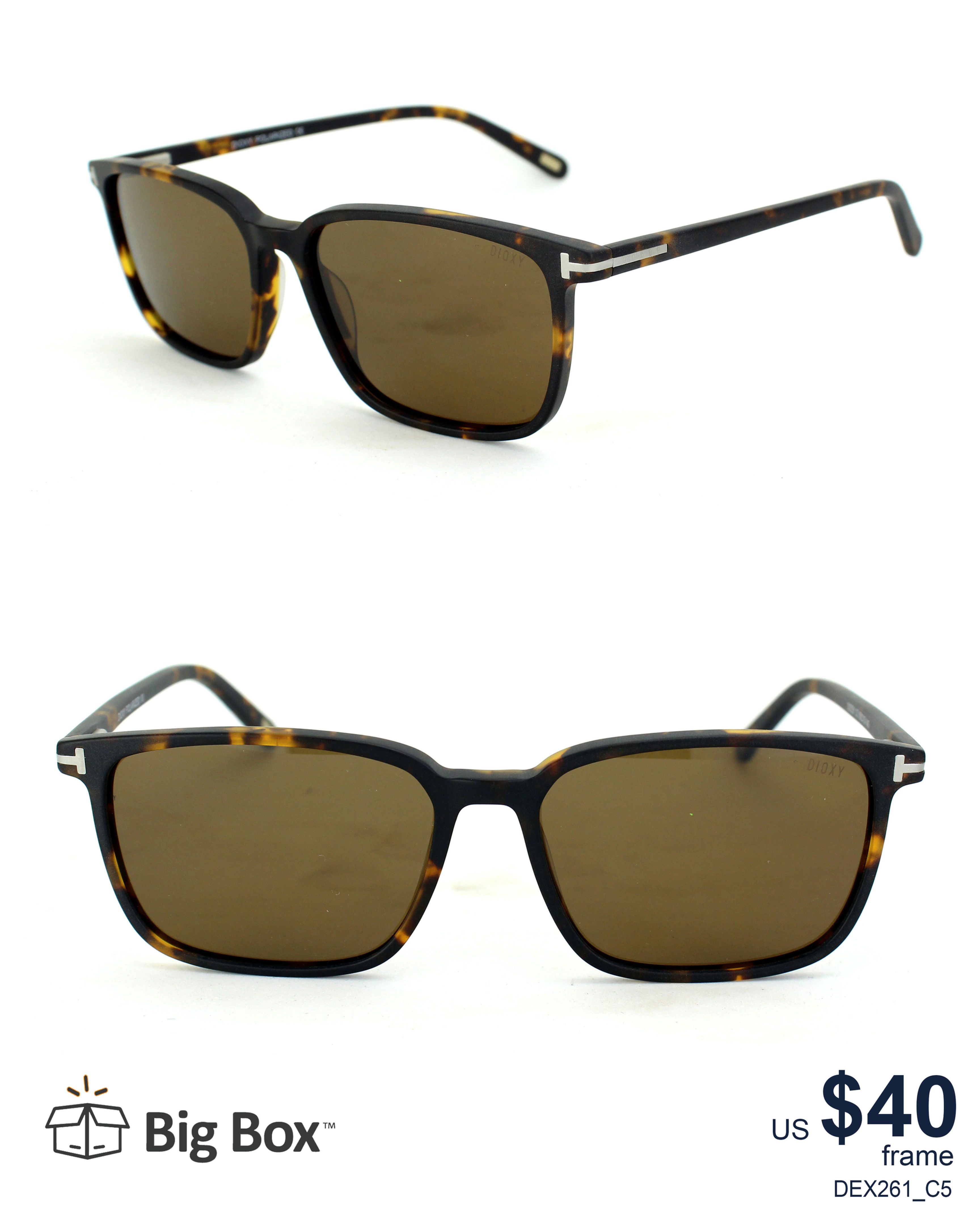 Gafas Polarizadas - DXE261