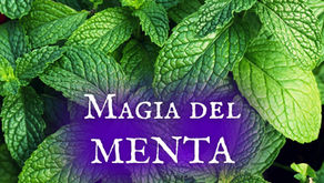 Usos Mágicos: Menta