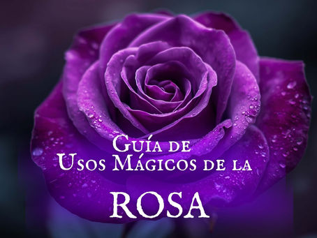 ROSA. Usos mágicos