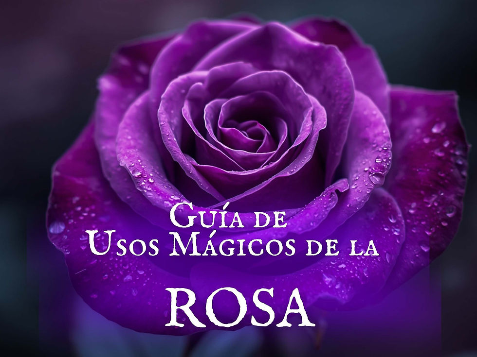 ROSA. Usos mágicos