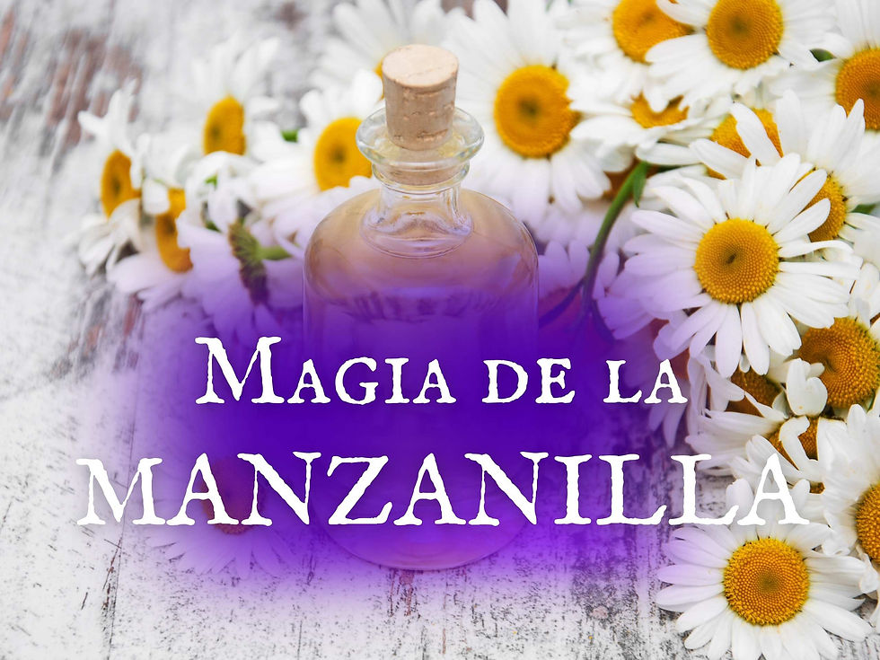 La Magia de la Manzanilla