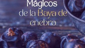 Baya de Enebro: Usos mágicos