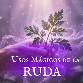 Ruda: Usos Mágicos