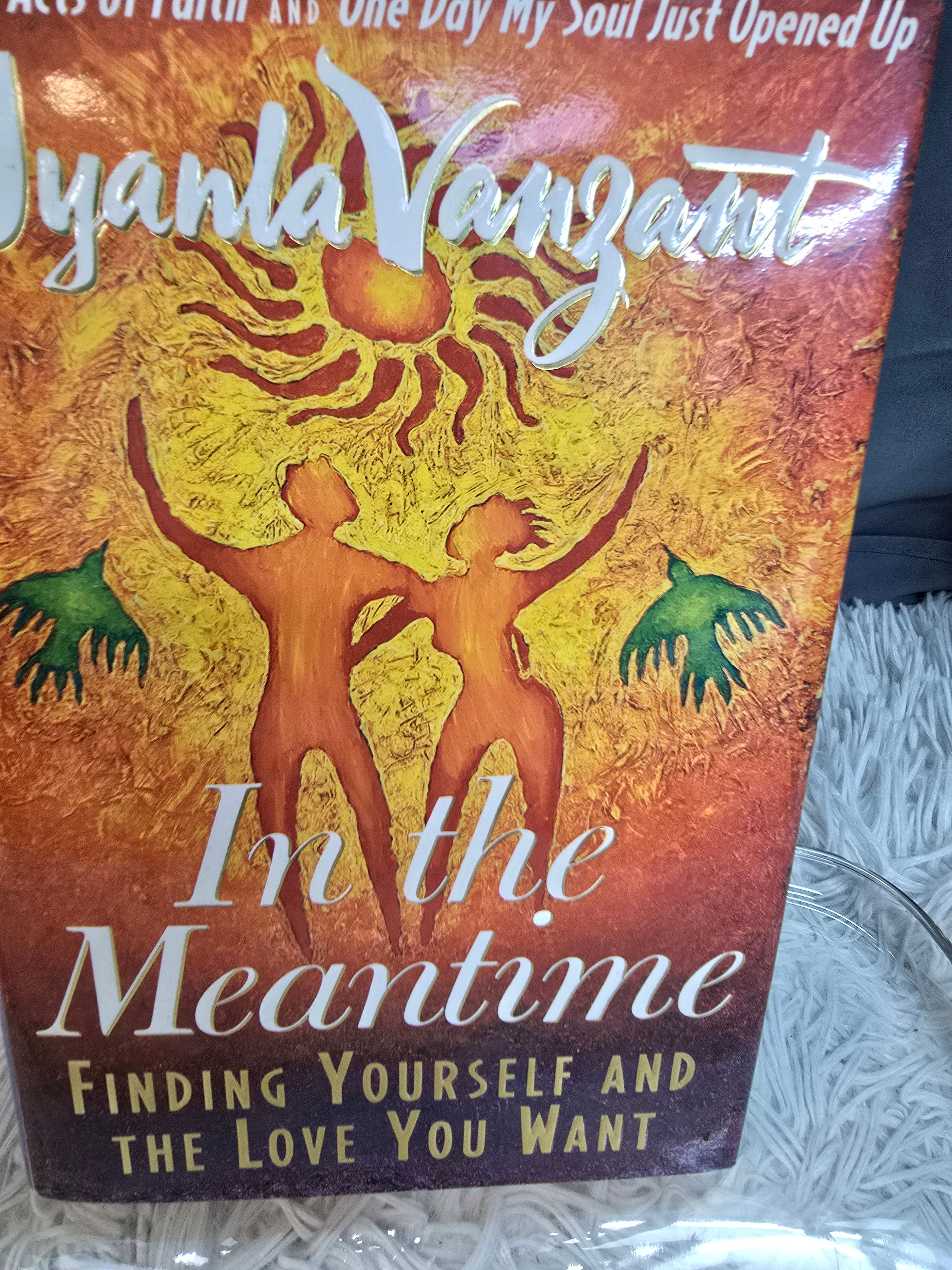 In the Meantime : Finding Yourself and the Love You Want by Iyanla Vanzant...