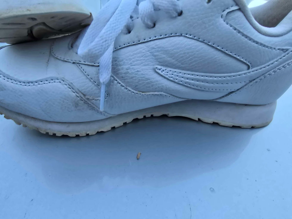 Thumbnail: Classic Fila size 6
