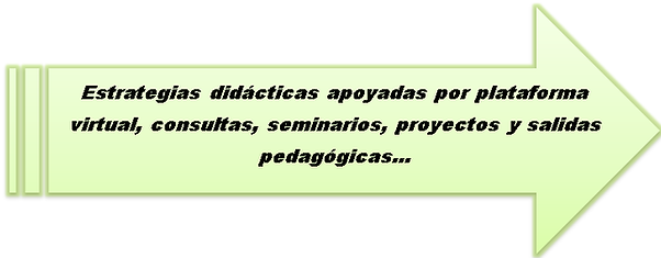 Plan De Estudios.png