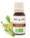 Arbre à thé Bio, huile essentielle, 10 ml
