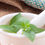 Thumbnail: Herb - Basil, Lemon