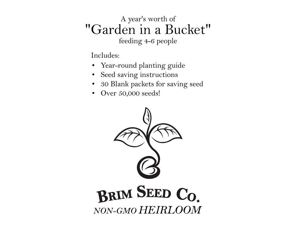 Thumbnail: Seed Bank Level IV