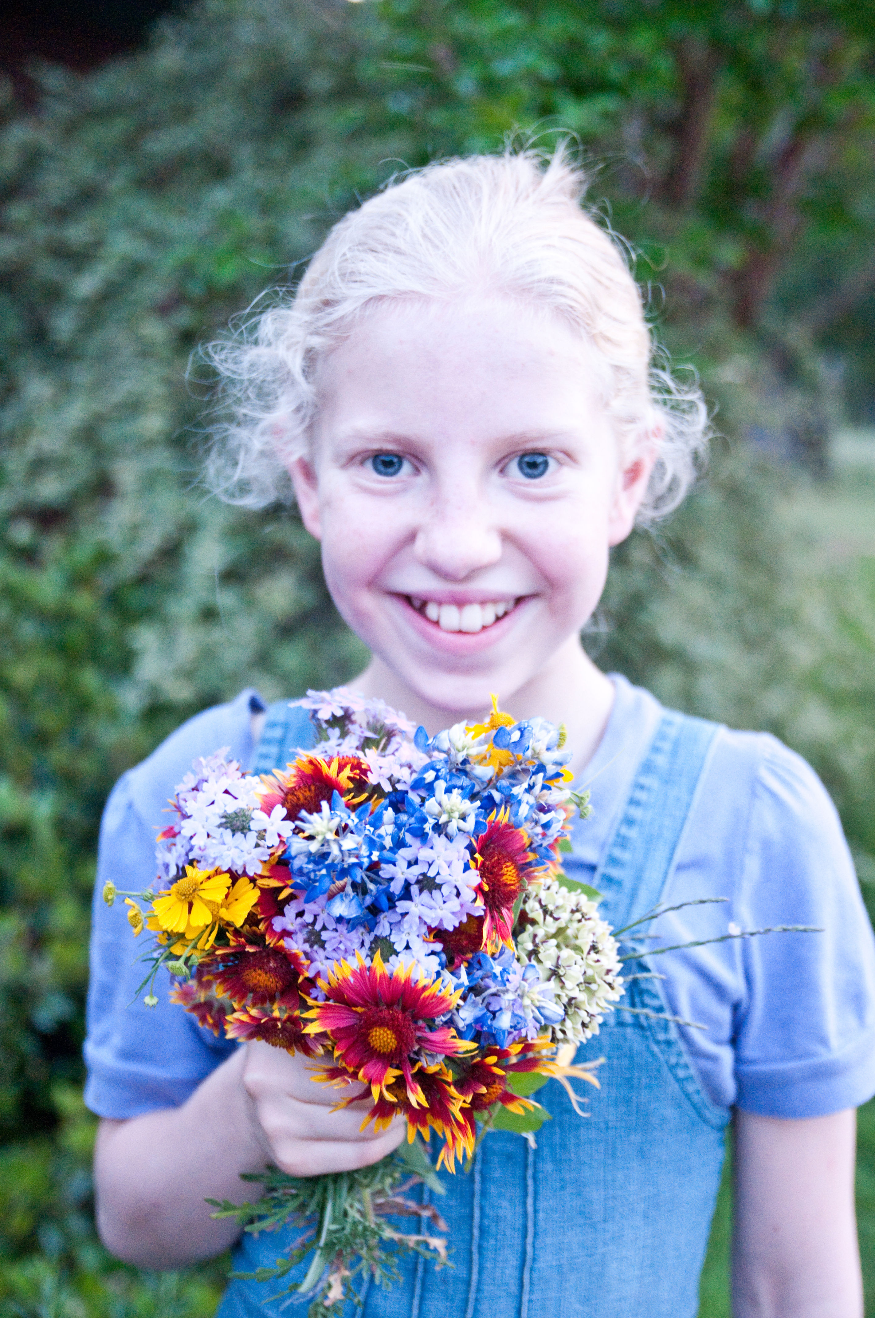 Wildflower - Texas Mix