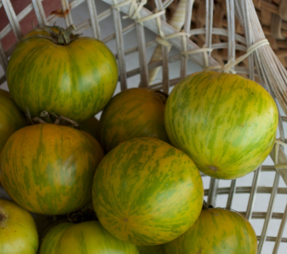 Thumbnail: Tomato - Green Zebra