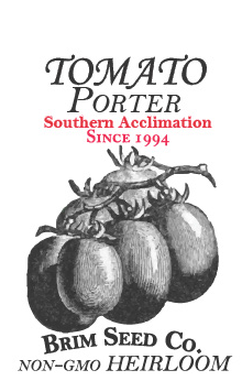 Thumbnail: Tomato - Porter (Southern Acclimated)