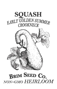Thumbnail: Squash - Early Golden Summer Crookneck  (summer)