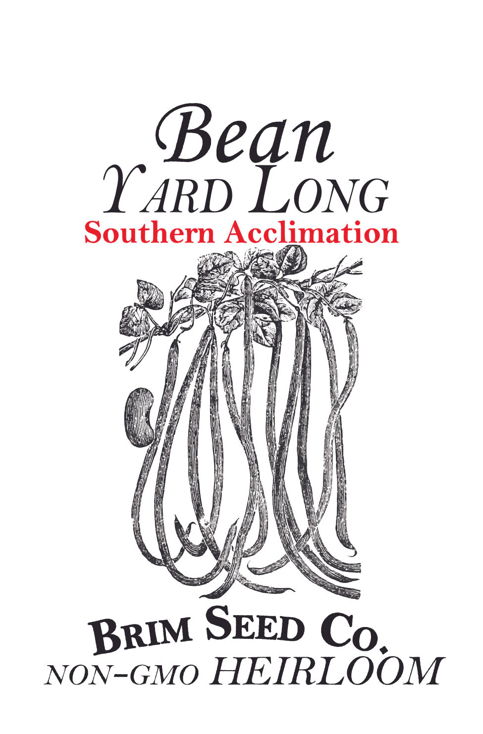 Thumbnail: Bean - Yard Long (Southern Acclimated)