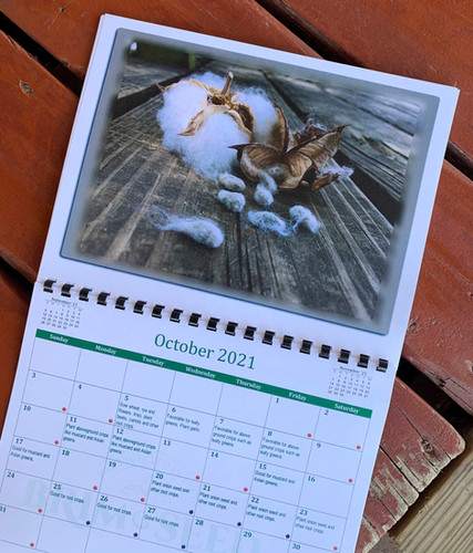 2024 Lunar Planting Calendar | Brim Seed Co.