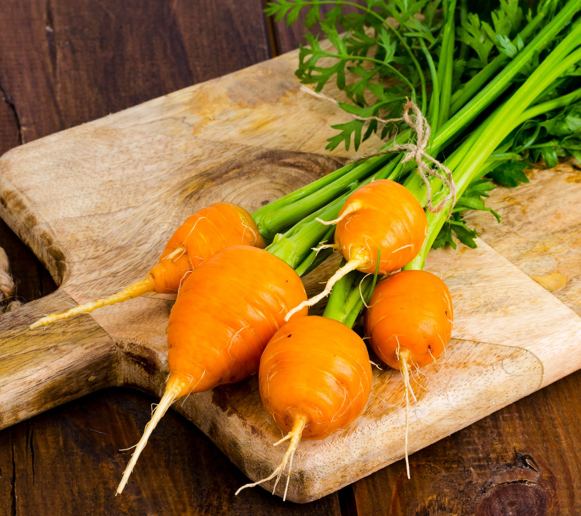Carrot - Parisian
