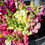 Thumbnail: Flower - Snapdragon Mix