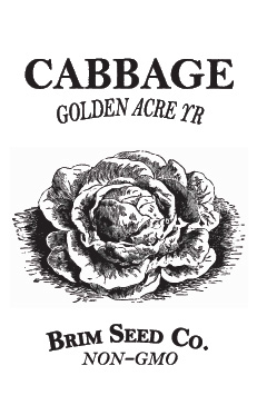 Thumbnail: Cabbage-Golden Acre YR